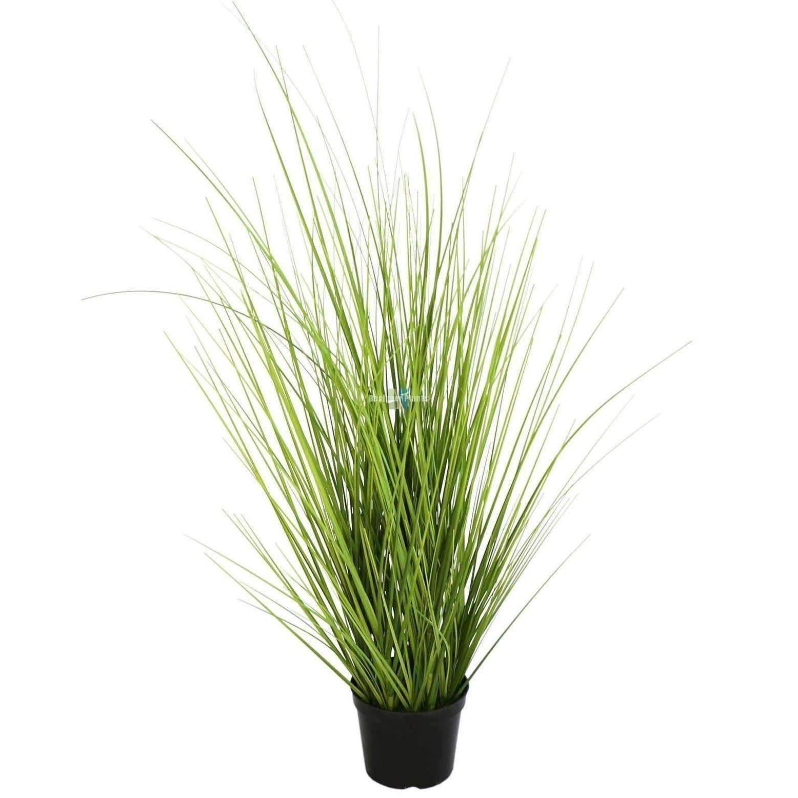 A realistic 70cm tall artificial grass plant in a decorative pot, showcasing vibrant green foliage.