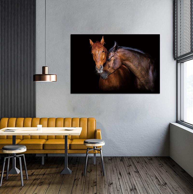 Wild Horses Acrylic Print showcasing vibrant colors and high-gloss finish, perfect for modern wall decor.