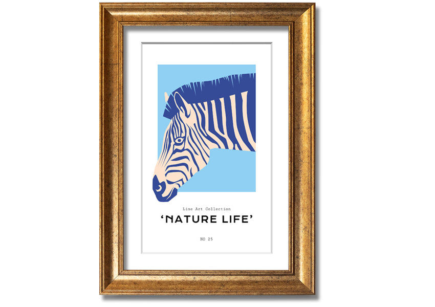 A beautifully framed Zebra Nature print showcasing a striking zebra design, available in various frame colors.