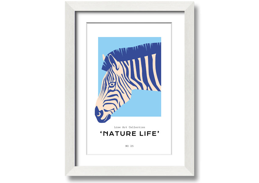 A beautifully framed Zebra Nature print showcasing a striking zebra design, available in various frame colors.