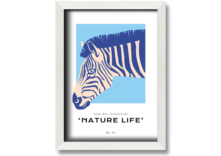 A beautifully framed Zebra Nature print showcasing a striking zebra design, available in various frame colors.