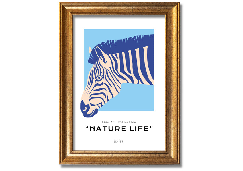 A beautifully framed Zebra Nature print showcasing a striking zebra design, available in various frame colors.