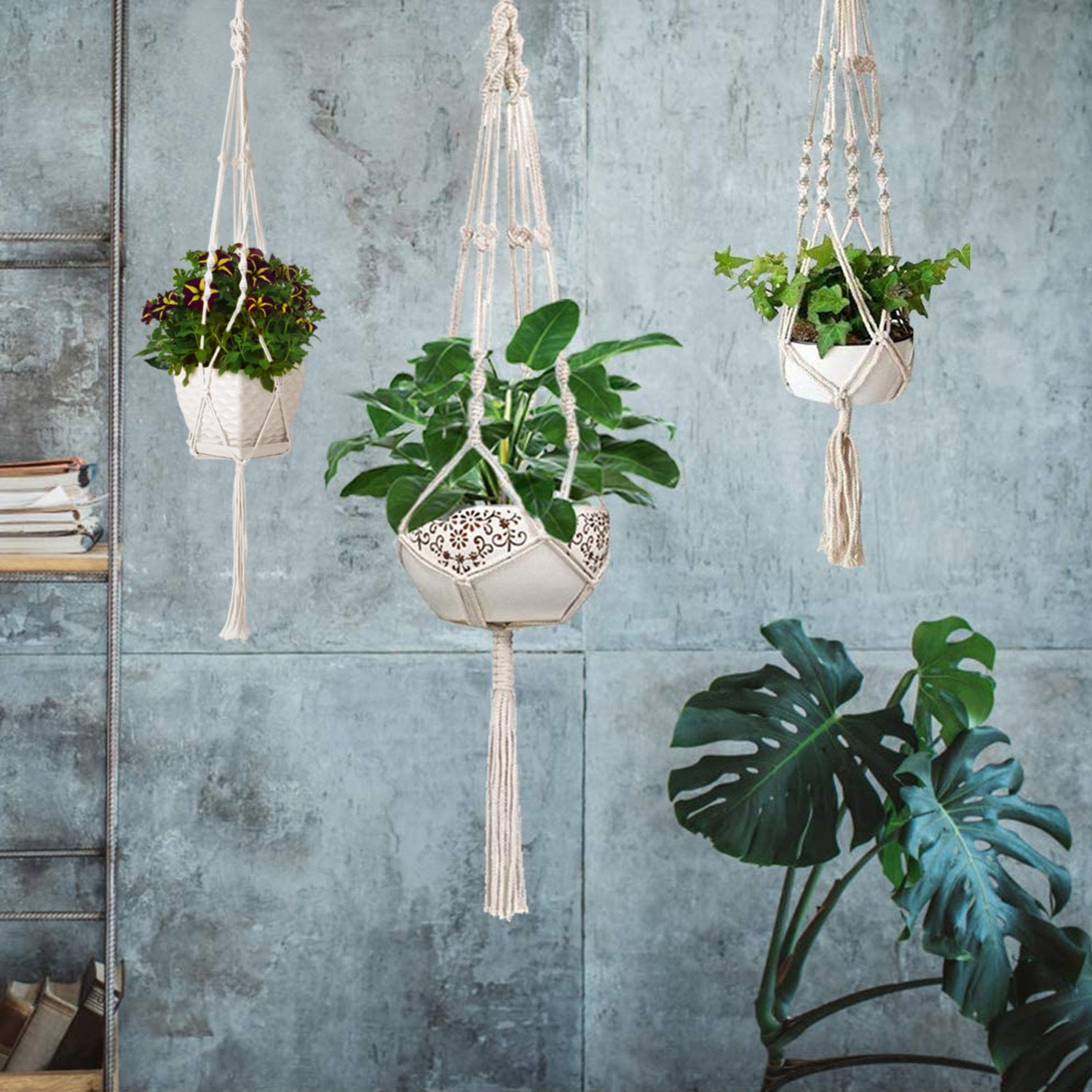 Two 40-inch cotton rope plant hangers designed for indoor and outdoor use, featuring a sturdy hanging ring and natural material.