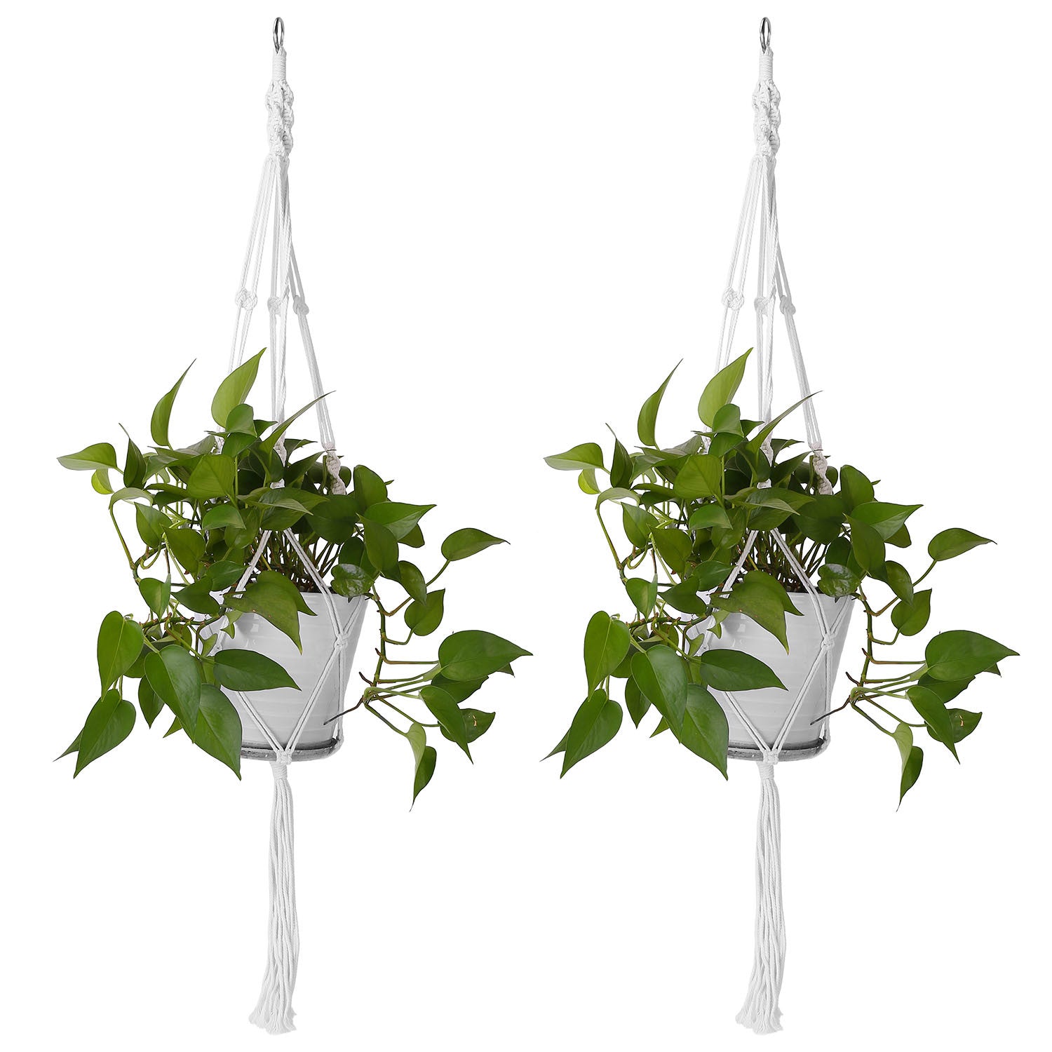 Two 40-inch cotton rope plant hangers designed for indoor and outdoor use, featuring a sturdy hanging ring and natural material.