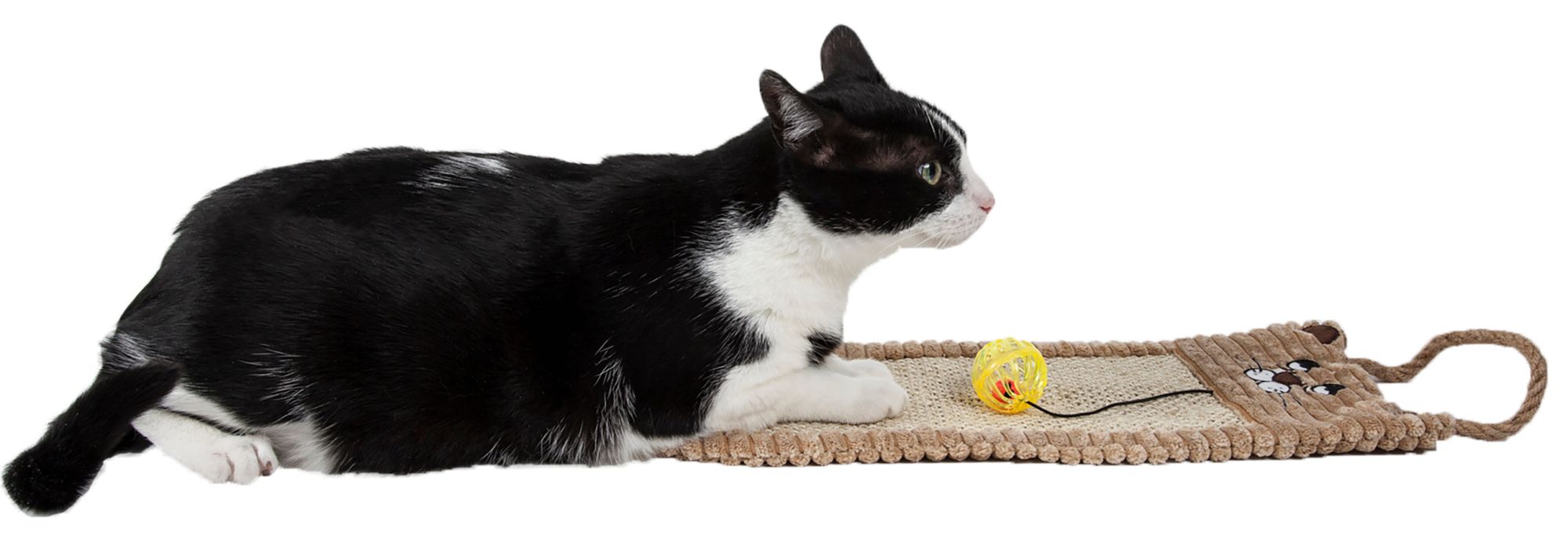 Pet Life Eco-Natural Sisal and Jute Hanging Carpet Cat Scratcher with built-in teaser toy, showcasing its eco-friendly materials and versatile design.