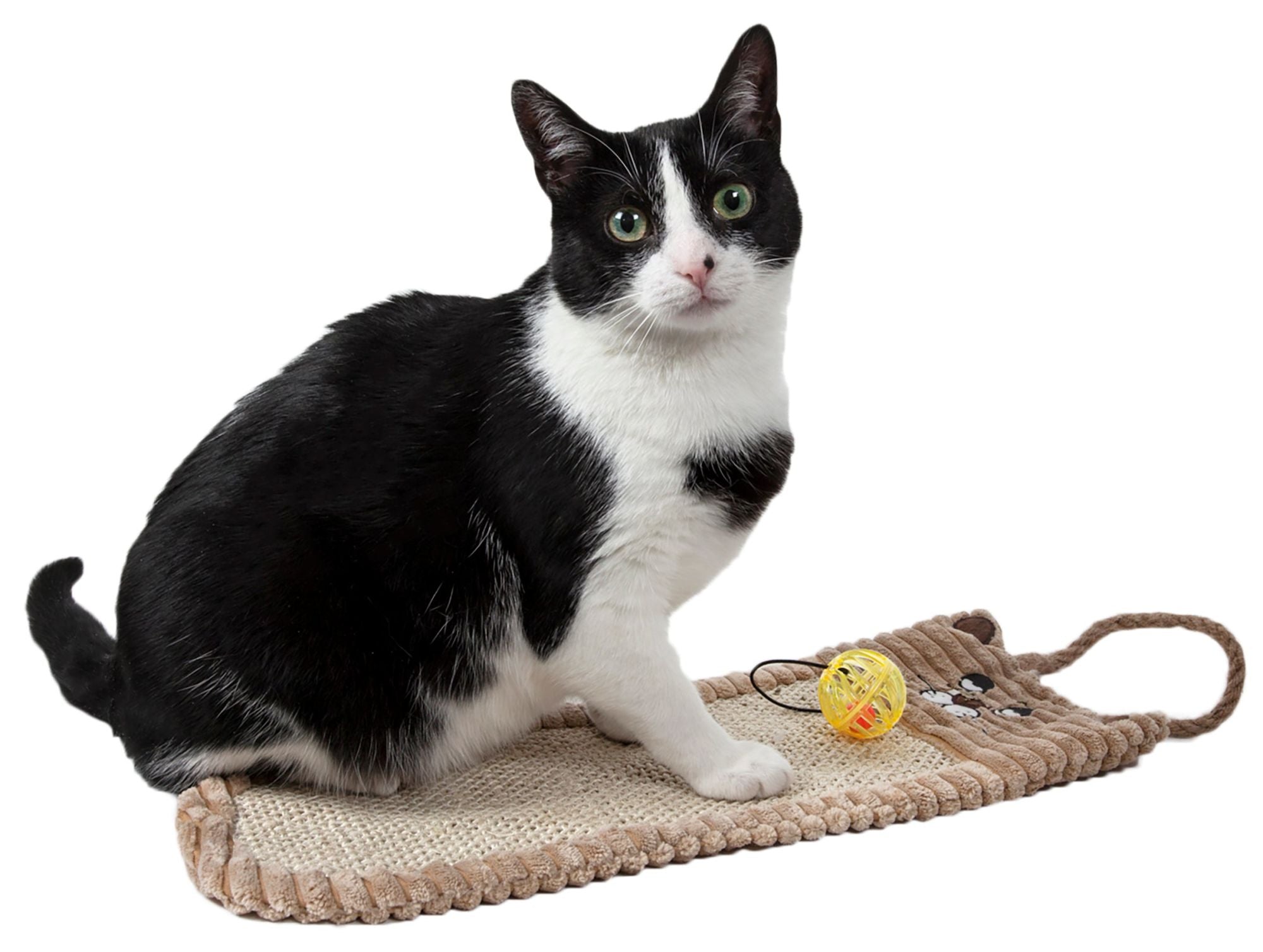 Pet Life Eco-Natural Sisal and Jute Hanging Carpet Cat Scratcher with built-in teaser toy, showcasing its eco-friendly materials and versatile design.