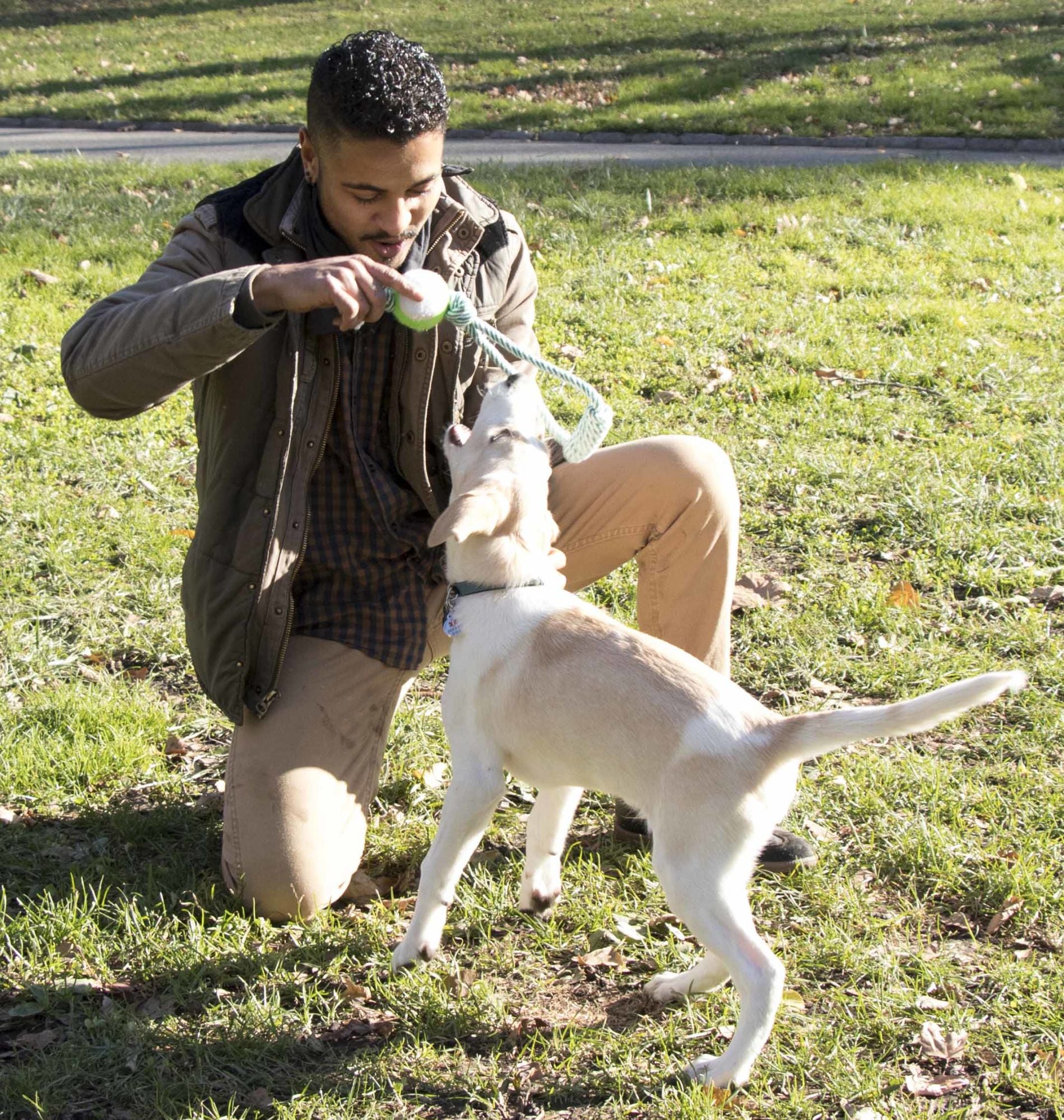 Eco-friendly 'Pull Away' Rope and Tennis Ball made from jute and rubber, designed for interactive dog play.