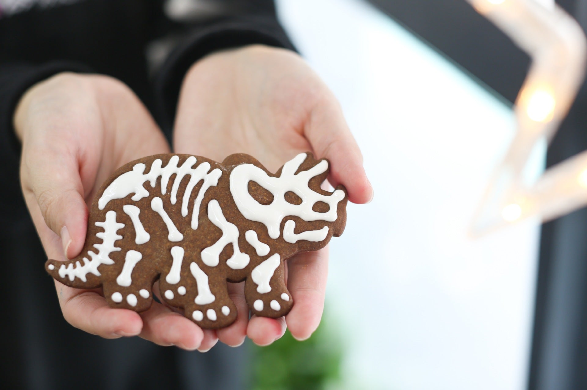 Dinosaur Biscuit Mould featuring three dinosaur shapes: Stegosaurus, Tyrannosaurus Rex, and Triceratops, made from food-grade PVC material.