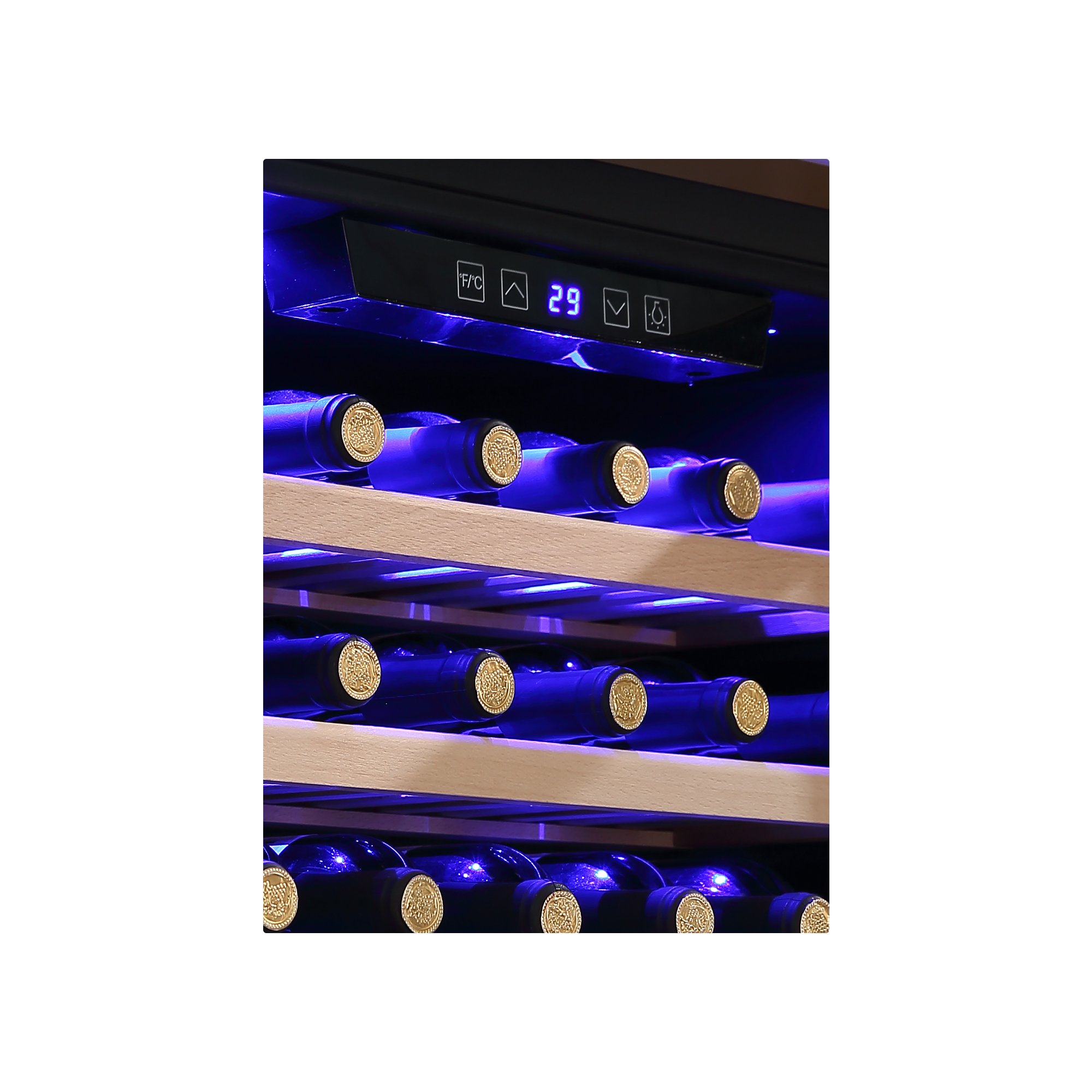 Empava WC05S 24" Wine Cooler with glass door and stainless steel accents, showcasing wine bottles inside.