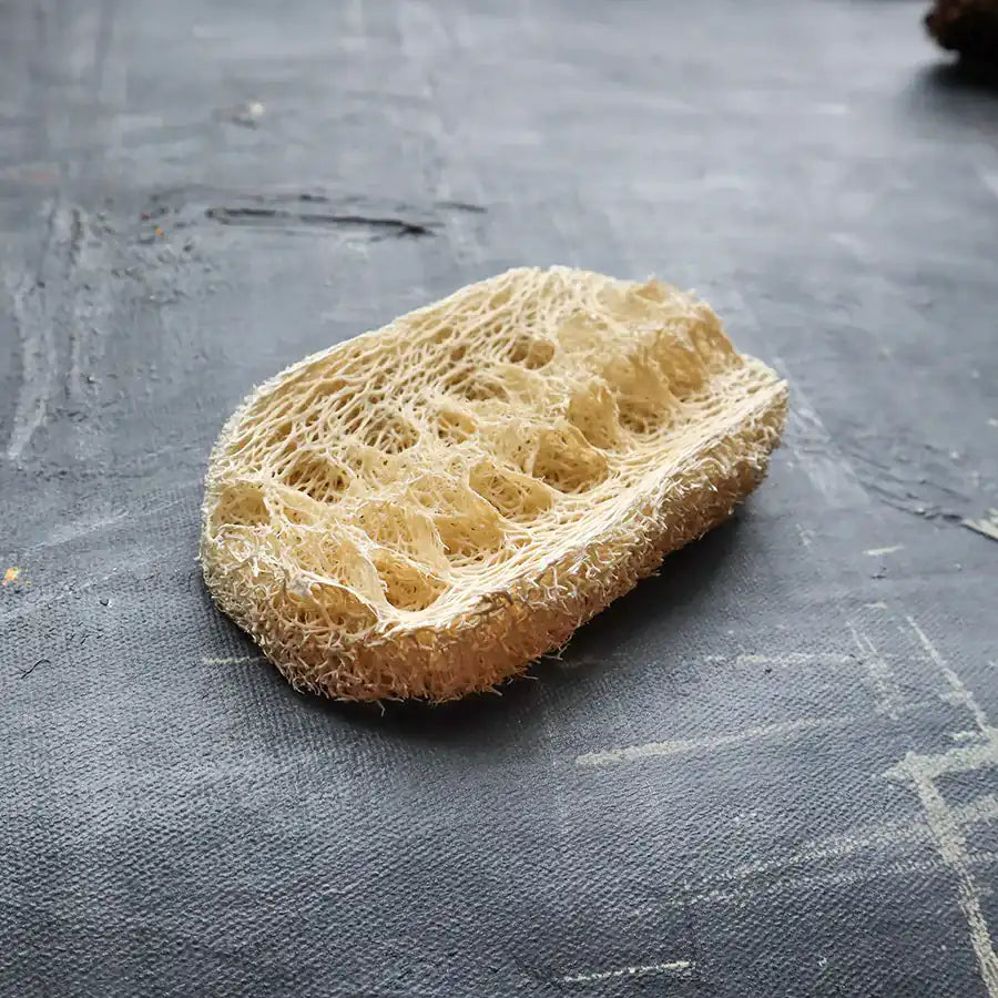 Eco-friendly Loofah Dishwashing Sponge with soft and scrubby sides for effective cleaning.