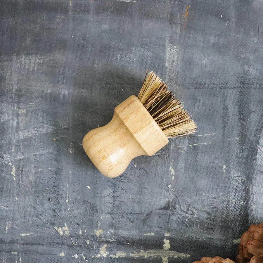 Zero Waste Dish Soap Set featuring bamboo handle brushes and a soap dish, promoting eco-friendly dishwashing.