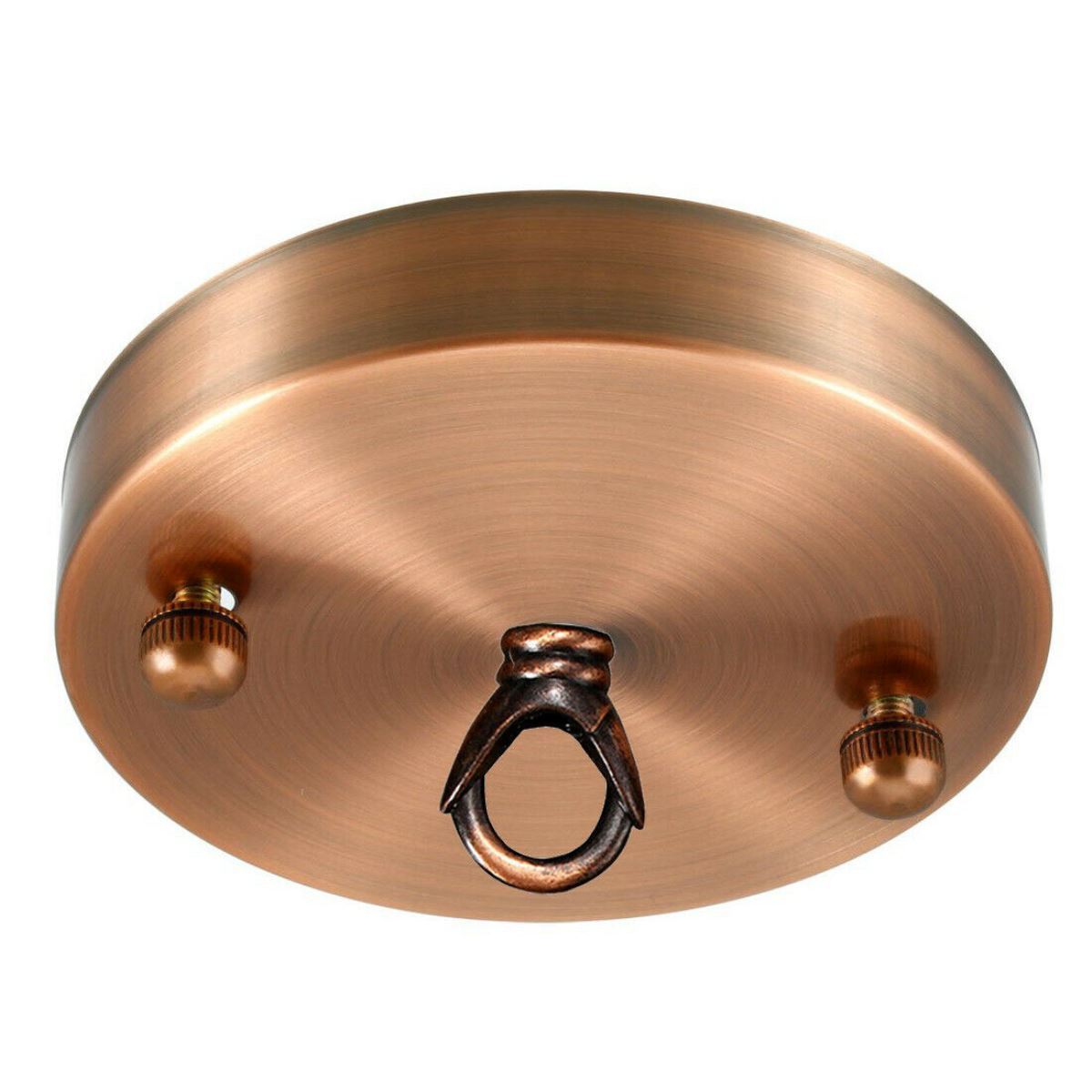 100mm Front Fitting Color Ceiling Hook Ring with smooth metal surface and matching screws for easy installation.