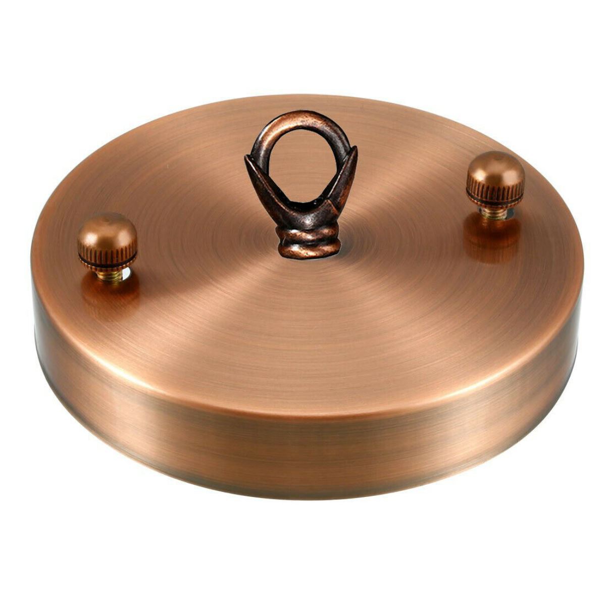 100mm Front Fitting Color Ceiling Hook Ring with smooth metal surface and matching screws for easy installation.