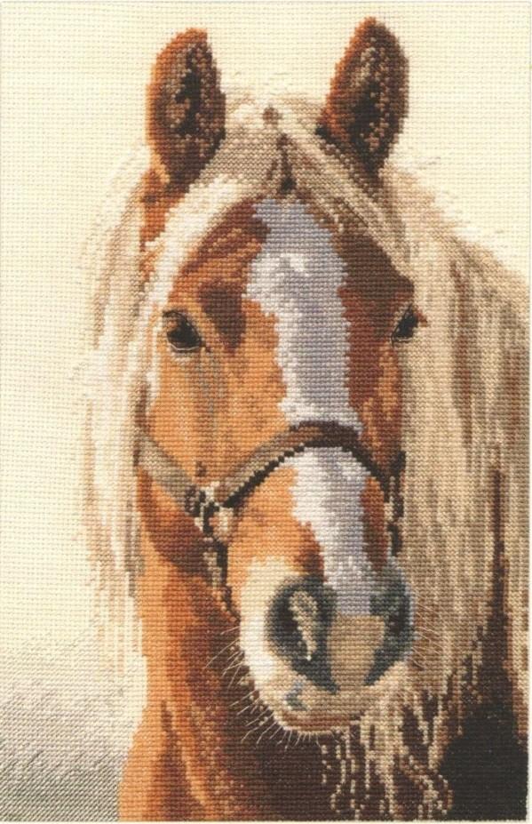 Adel 1-17 Cross-stitch kit featuring white aida fabric, colorful threads, and an embroidery needle.