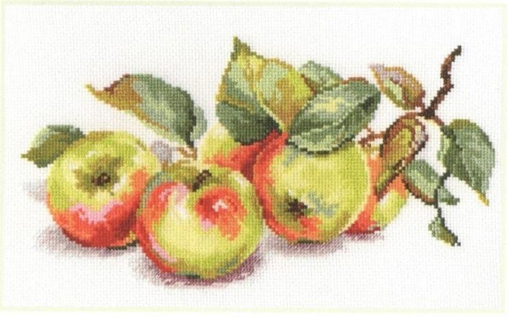 Apples 5-09 Cross-stitch kit with threads, needle, and white aida fabric.