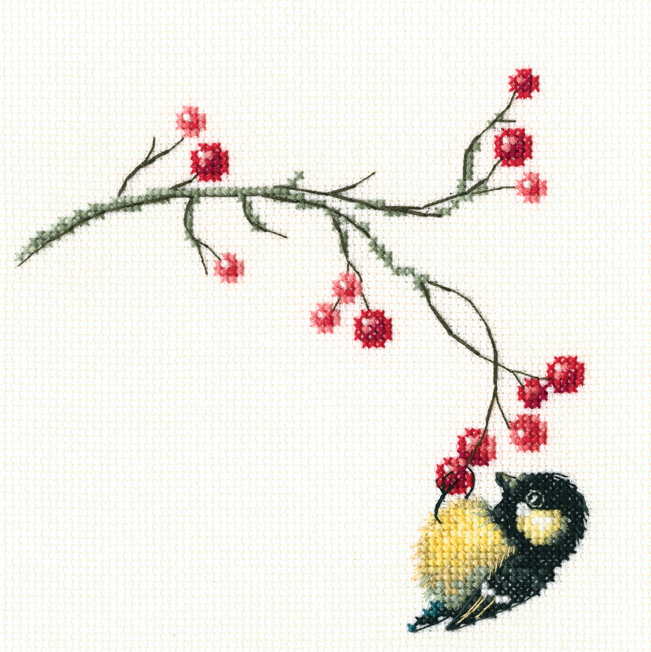 Autumn Berries C273 Counted Cross Stitch Kit featuring colorful threads and Aida fabric.