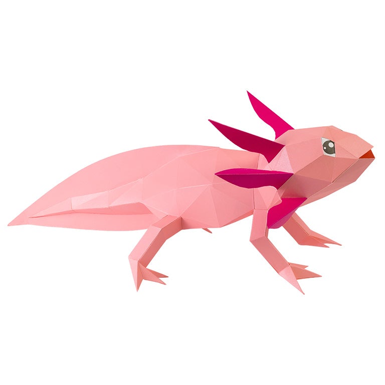 A colorful 3D papercraft model of an axolotl, showcasing intricate details and vibrant colors, perfect for crafting enthusiasts.