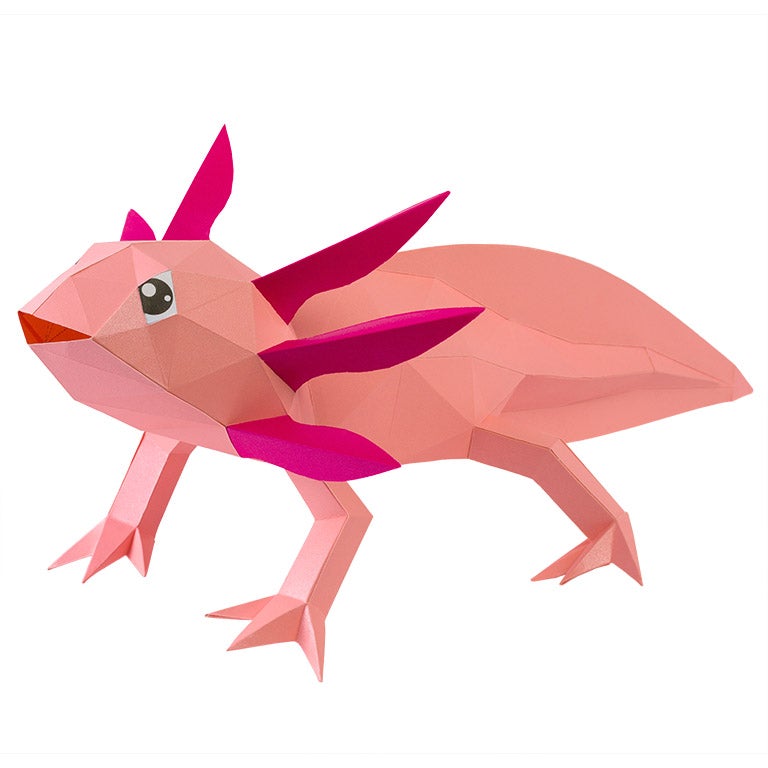 A colorful 3D papercraft model of an axolotl, showcasing intricate details and vibrant colors, perfect for crafting enthusiasts.