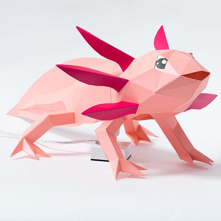 A colorful 3D papercraft model of an axolotl, showcasing intricate details and vibrant colors, perfect for crafting enthusiasts.