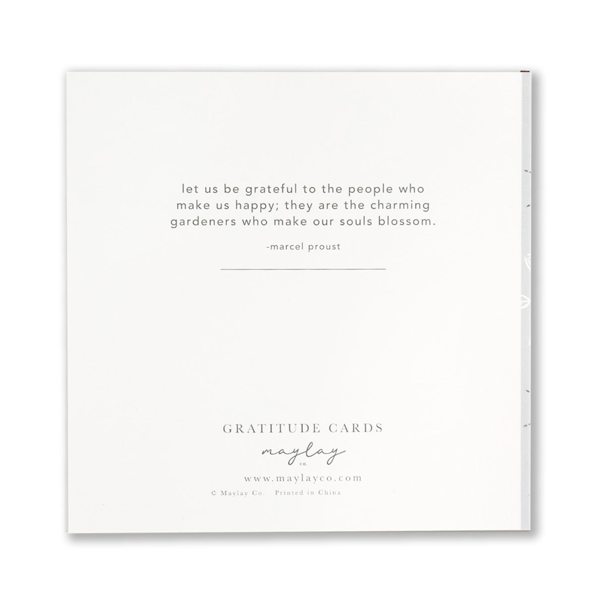 A set of Bamboo Gratitude Greeting Cards featuring gold foil stamping and kraft envelopes, elegantly designed for expressing gratitude.