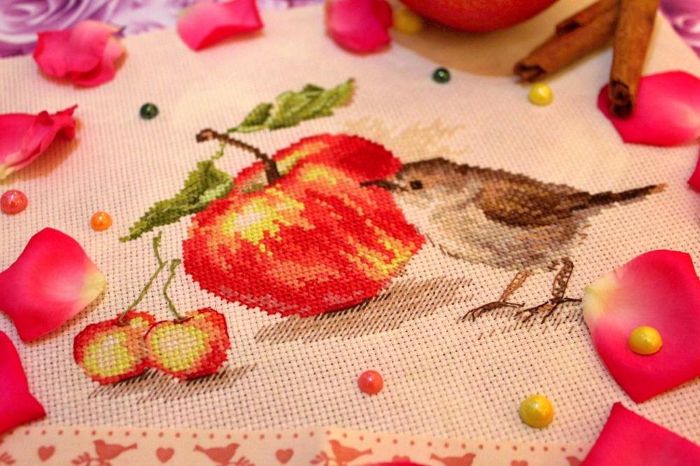 Bird and an Apple 5-22 Cross-stitch kit with white aida fabric, colorful threads, and an embroidery needle.