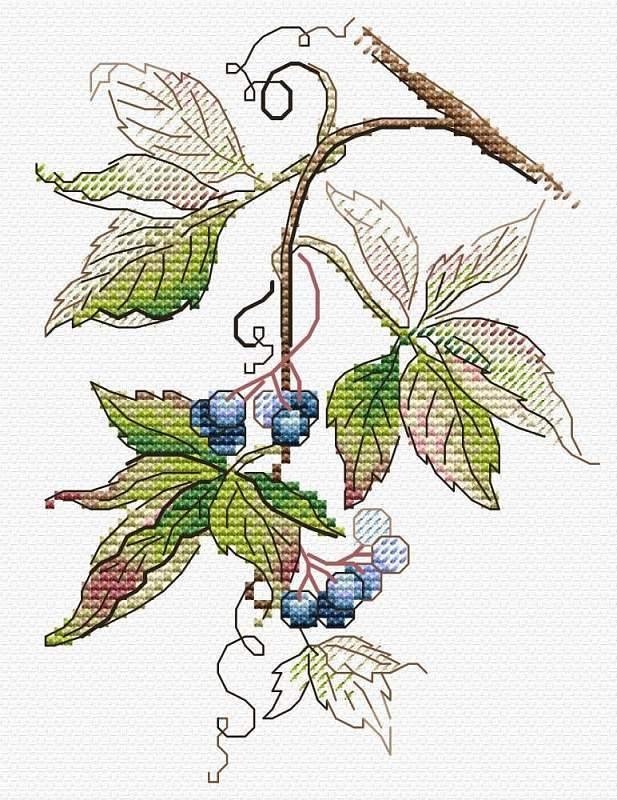 Birth of Autumn SM-508 Counted Cross-Stitch Kit featuring Aida canvas, colorful threads, and a needle for crafting.