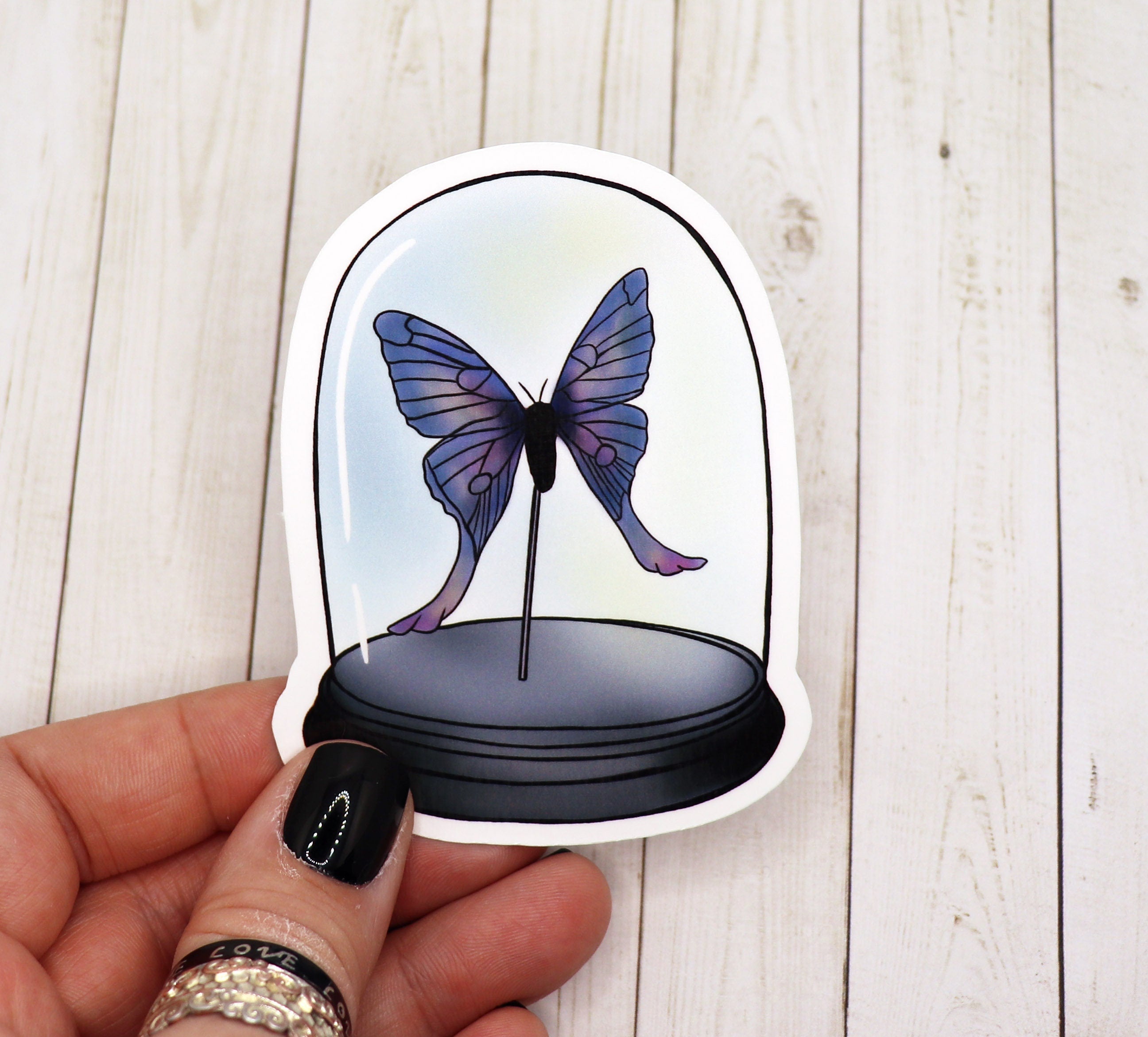 A vibrant blue butterfly vinyl sticker on a white background, showcasing intricate details and a matte finish.