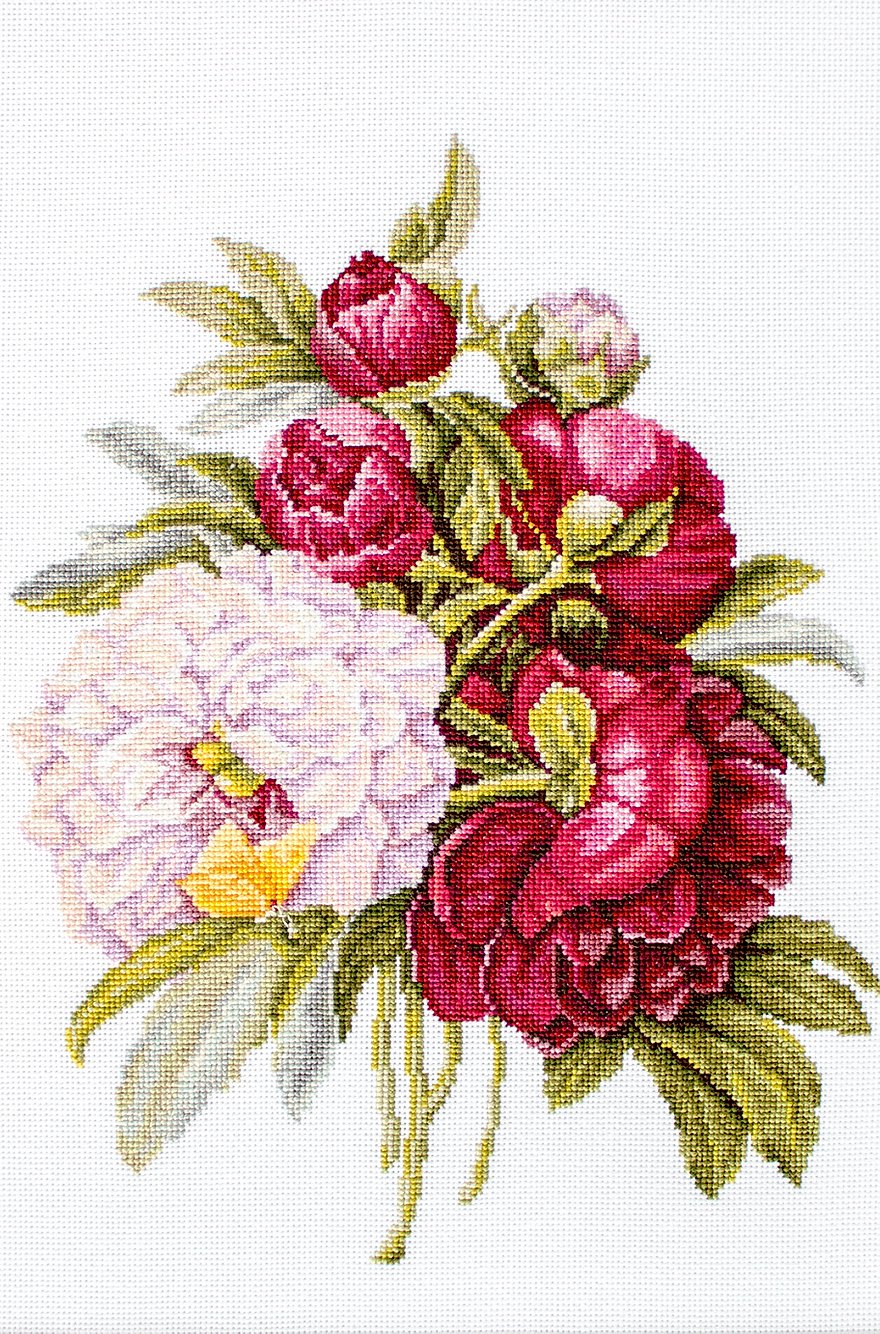 A counted cross-stitch kit featuring a beautiful peony bouquet design, including canvas, colorful threads, needle, and instructions.