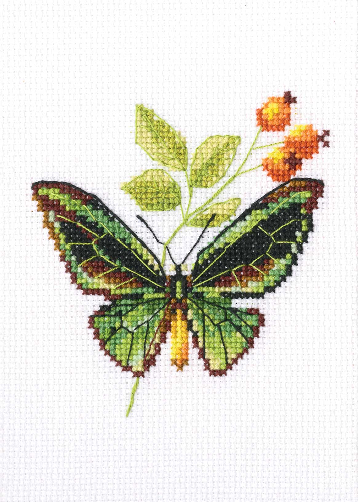 Briar and Butterfly EH363 Counted Cross Stitch Kit featuring Aida canvas, DMC threads, and stitching supplies.