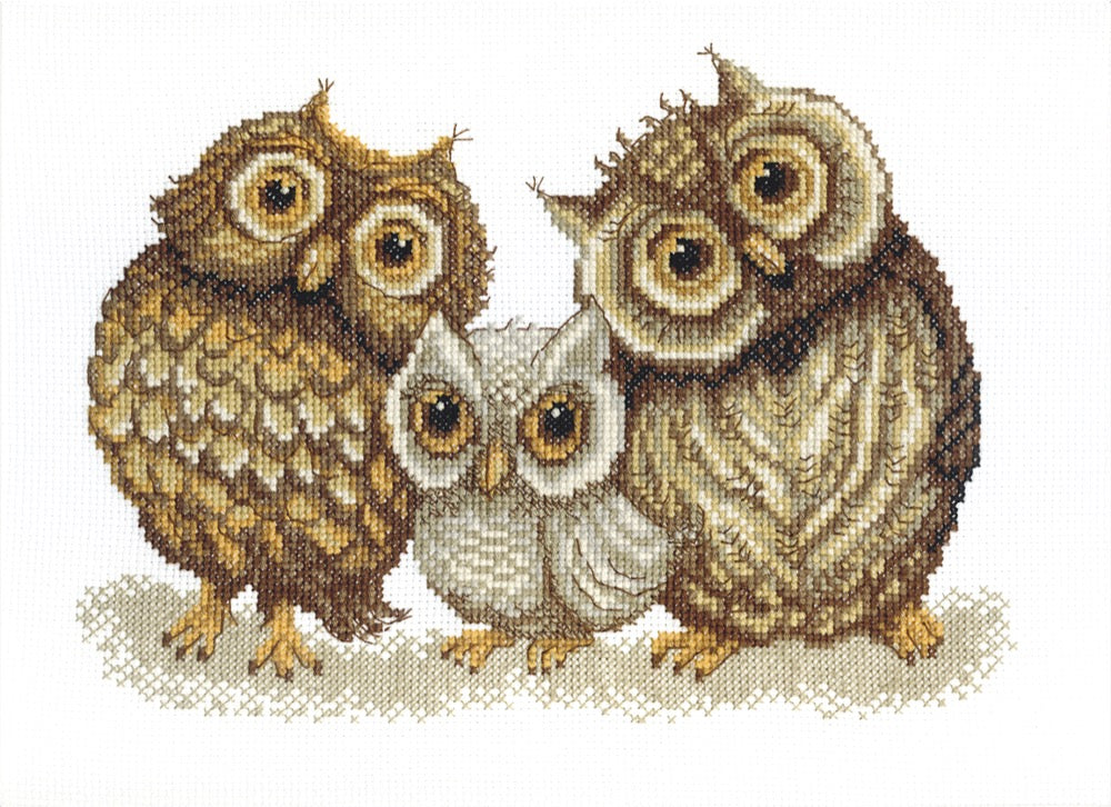 BT-067C Counted Cross Stitch Kit featuring a family of owls, includes Aida fabric, threads, and needle.