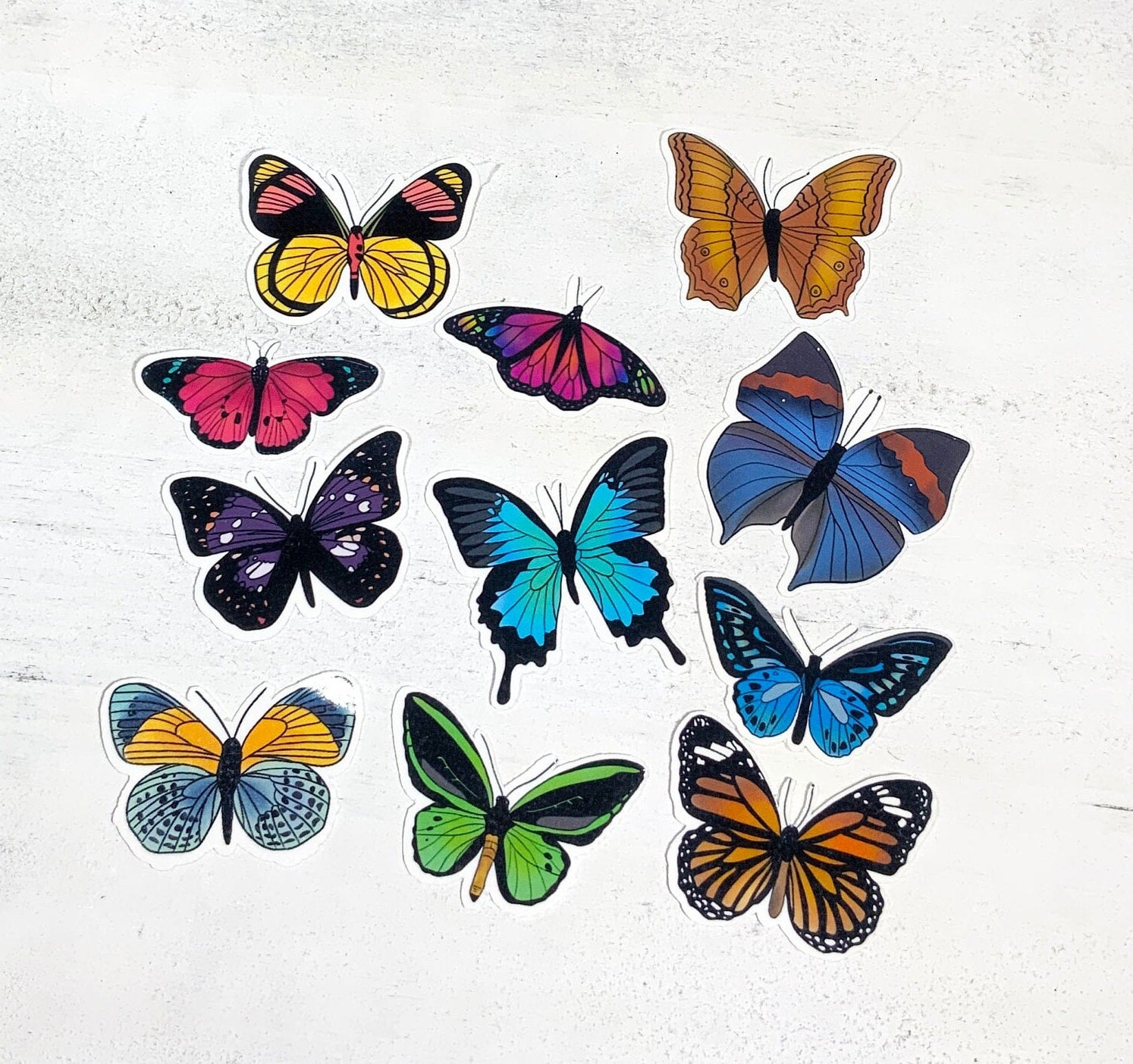 A vibrant pack of 11 butterfly stickers on a white background, showcasing various colorful butterfly designs.