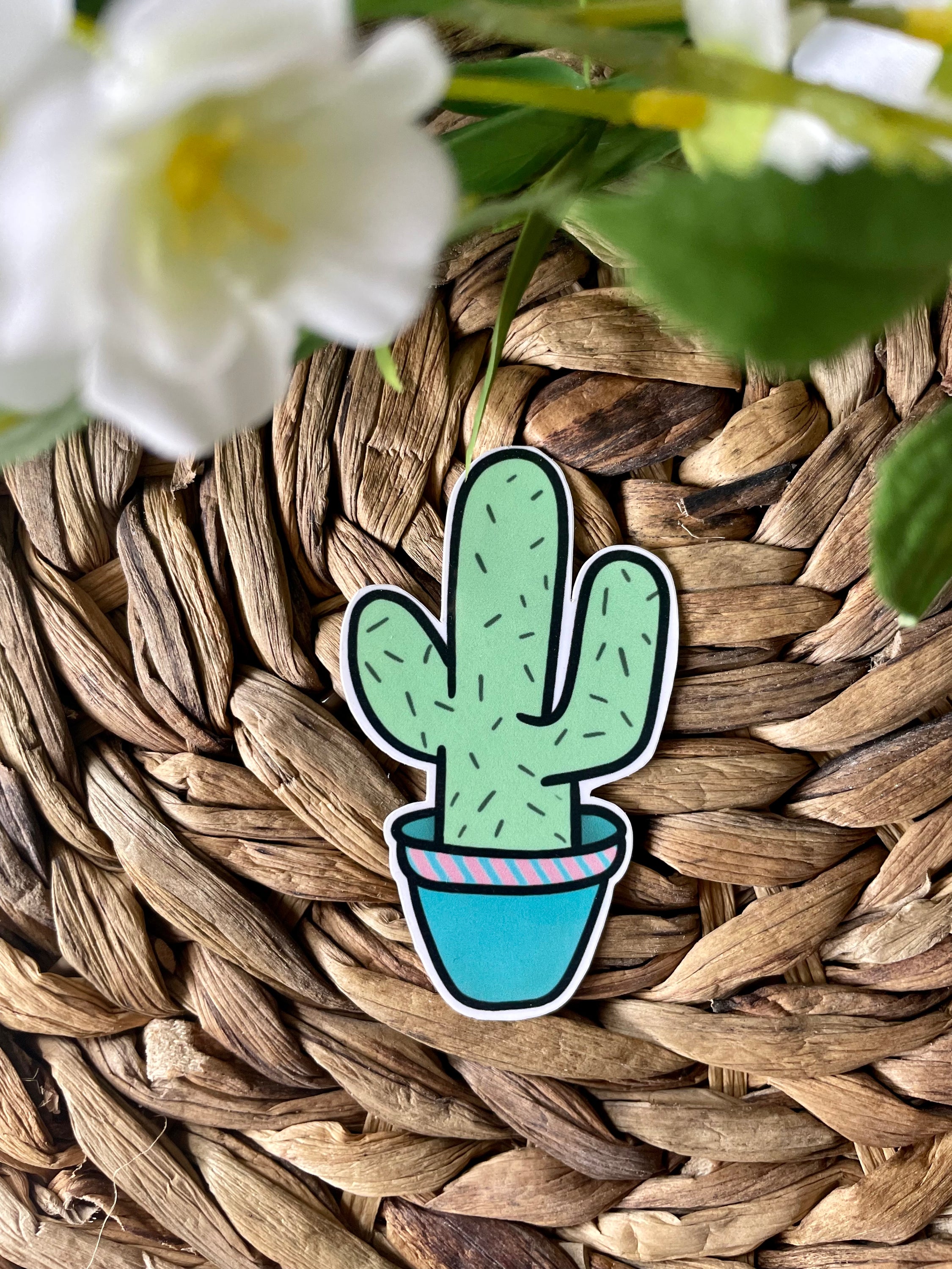 A cute cactus sticker featuring a vibrant green cactus design, perfect for personalizing items like laptops and water bottles.