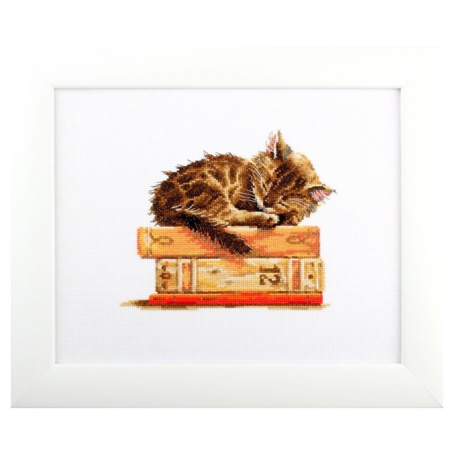 Cat's Dream M642 Counted Cross Stitch Kit featuring Aida 14 canvas, DMC threads, and detailed instructions for crafting.