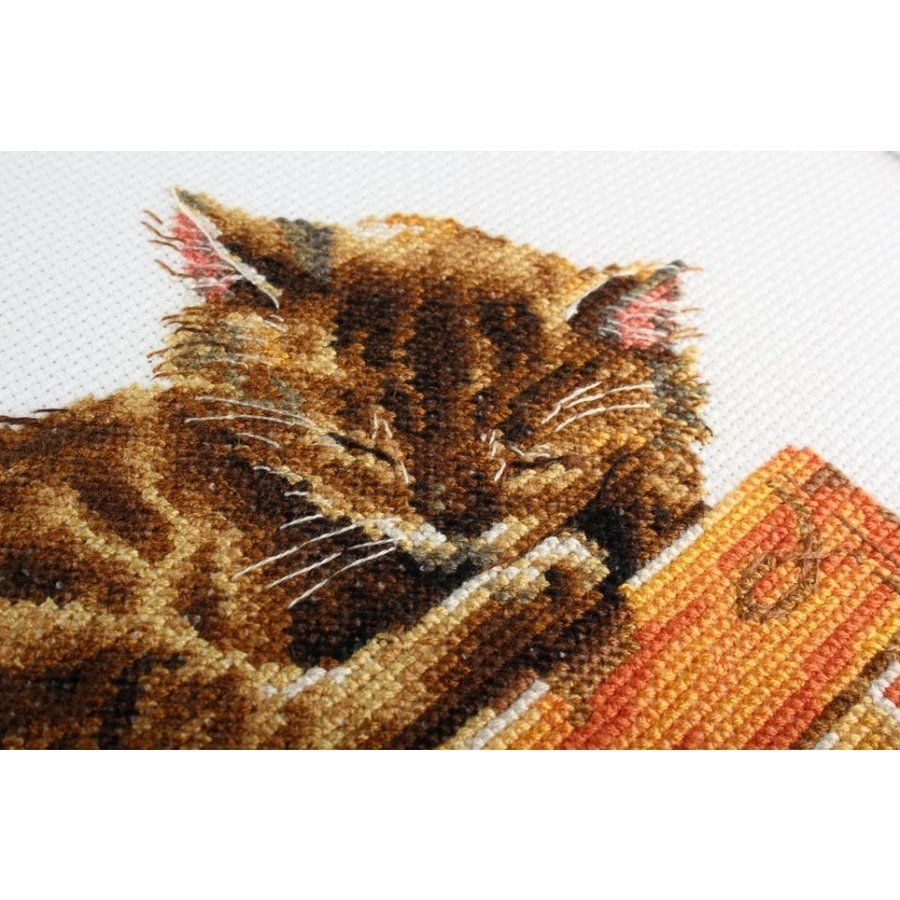 Cat's Dream M642 Counted Cross Stitch Kit featuring Aida 14 canvas, DMC threads, and detailed instructions for crafting.