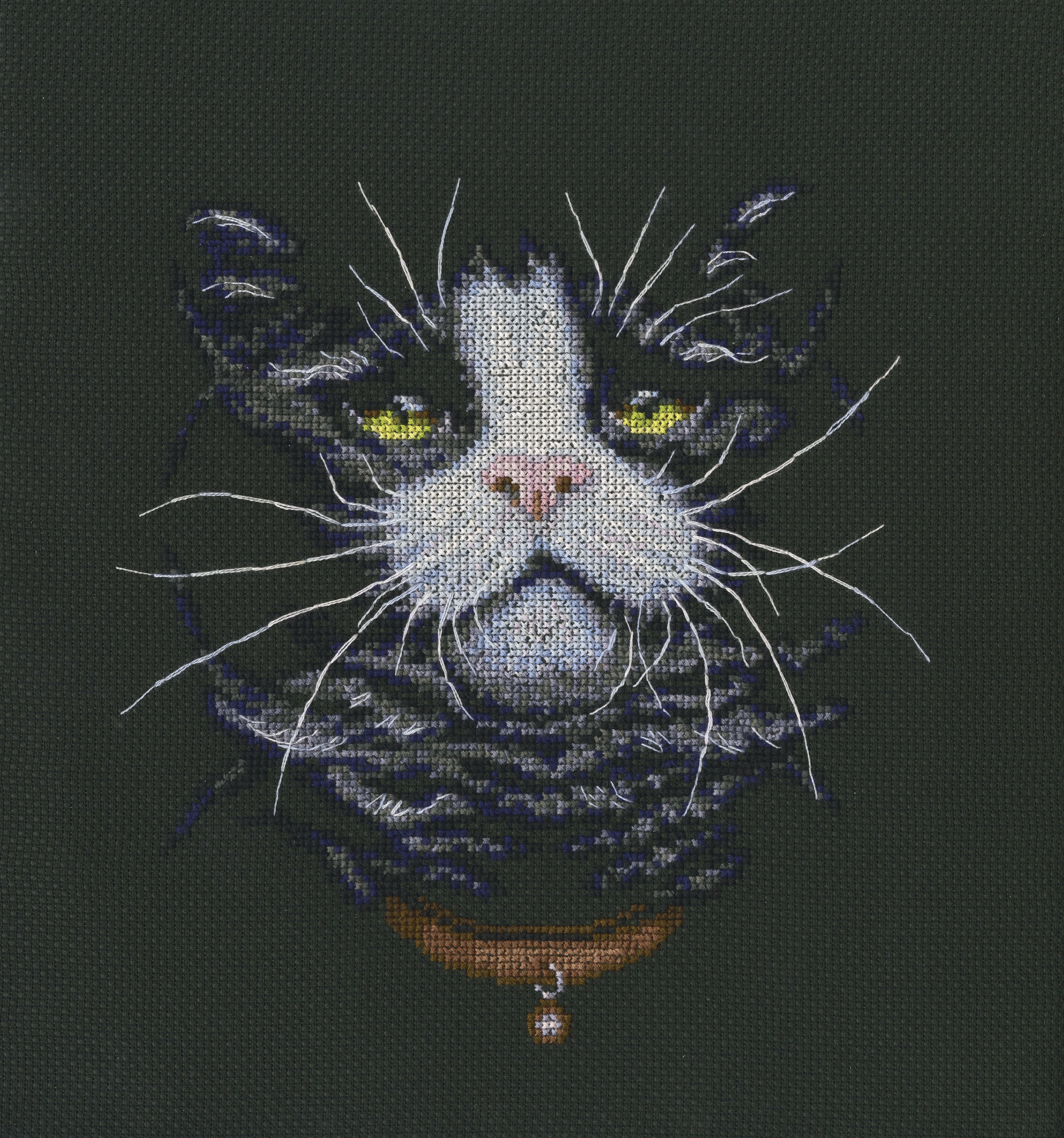 Cats' favourite M576 Counted Cross Stitch Kit featuring black Aida canvas, DMC threads, and detailed instructions for crafting.