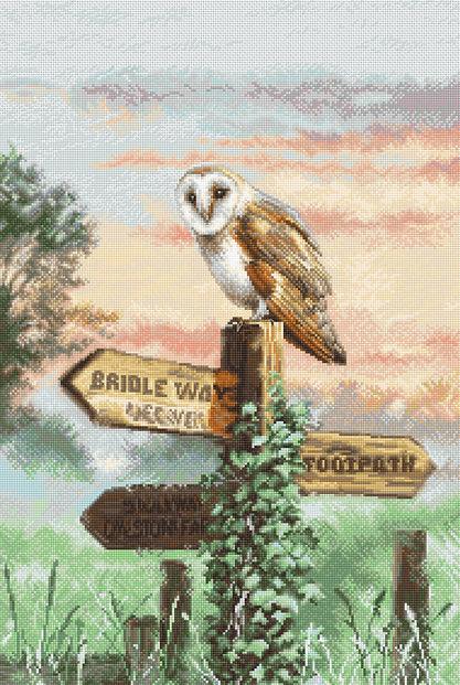 Counted Cross Stitch Kit featuring a barn owl design with vibrant threads and Aida canvas.