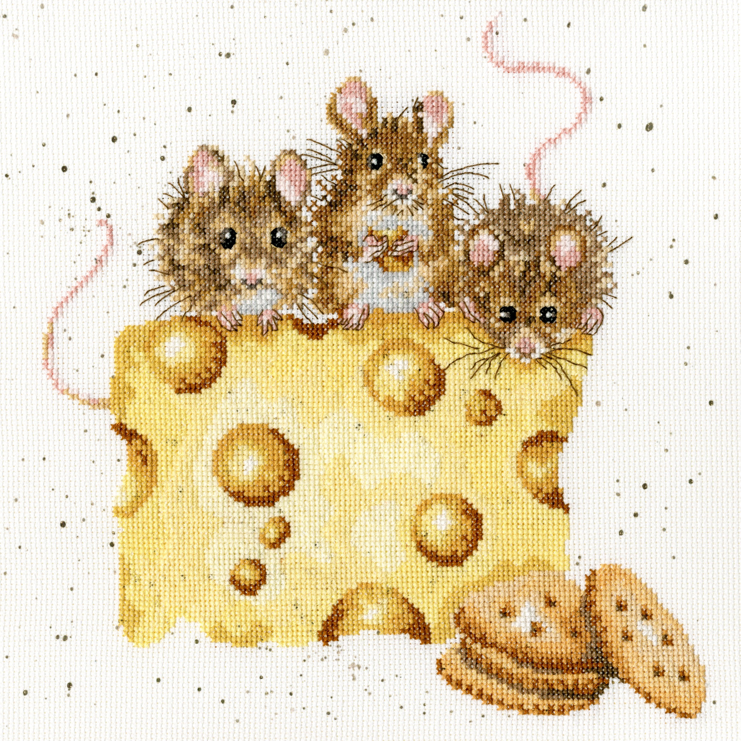 Crackers About Cheese XHD53 Counted Cross Stitch Kit with Aida fabric, threads, and instructions displayed.