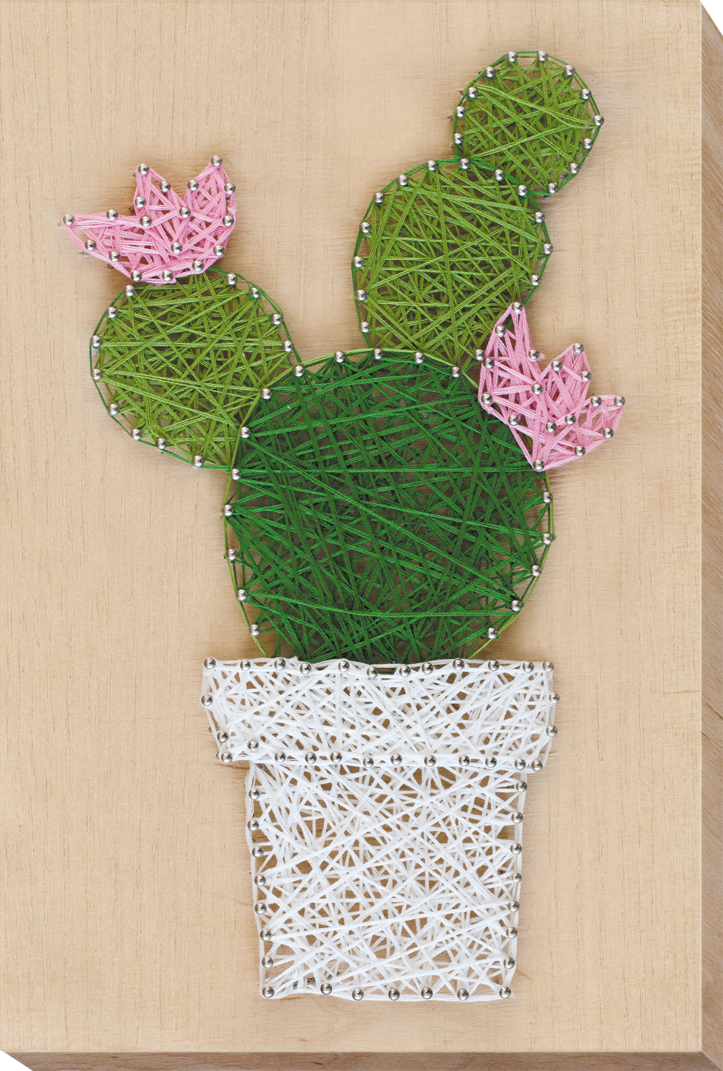 Creative Kit/String Art Cactus ABC-002 featuring wooden base, colorful threads, and nails for crafting.