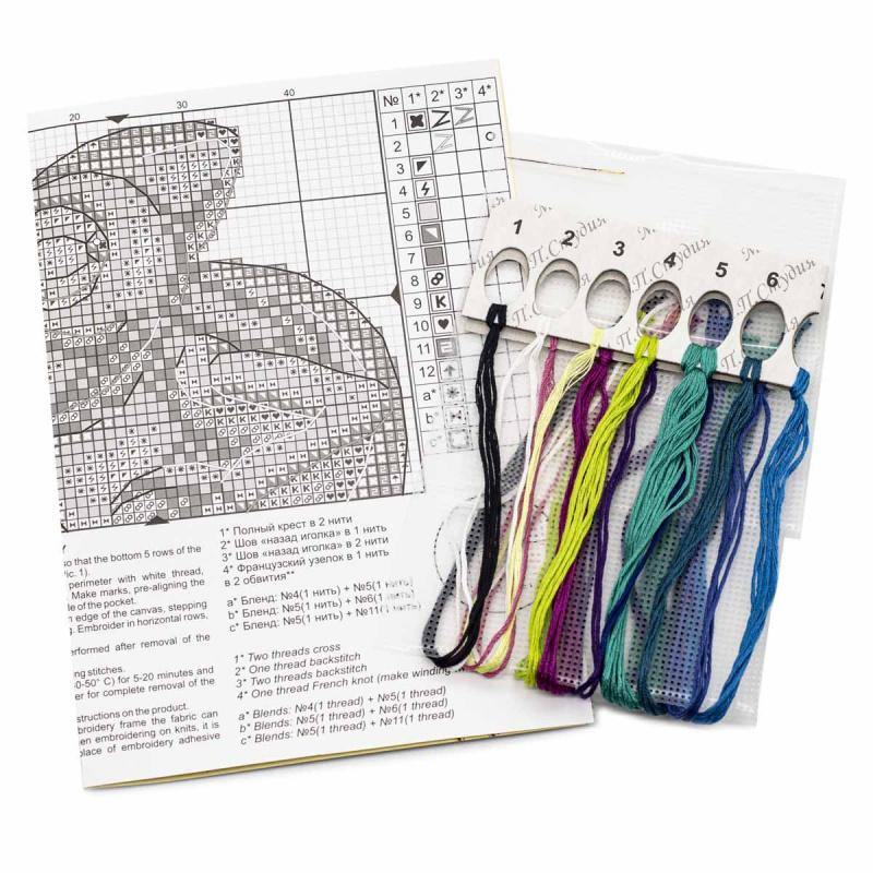 Curious Chameleon SV-253 Cross-stitch kit featuring water-soluble canvas, colorful threads, and a needle for crafting.