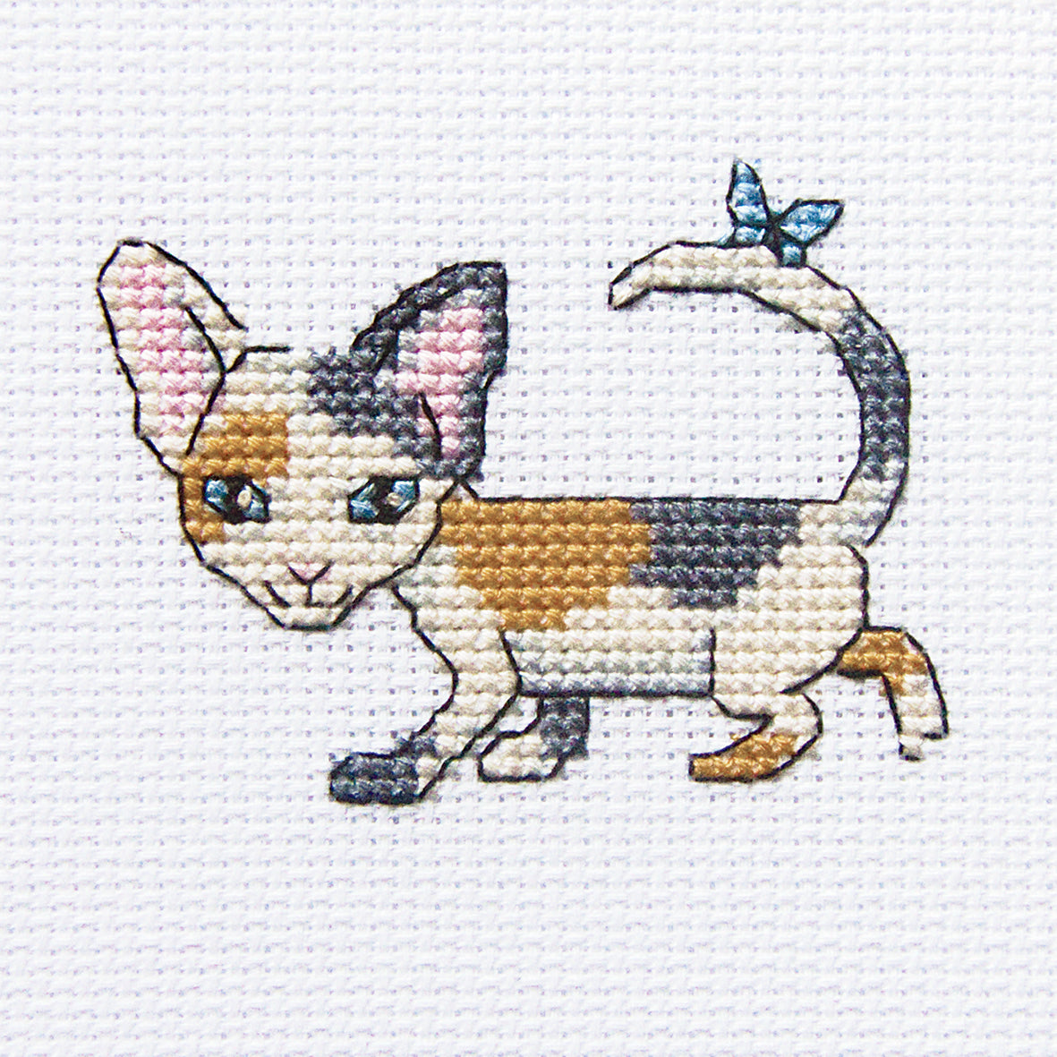 Curious Lucy H230 Counted Cross Stitch Kit featuring Aida canvas, DMC threads, and a needle, all neatly packaged for crafting.