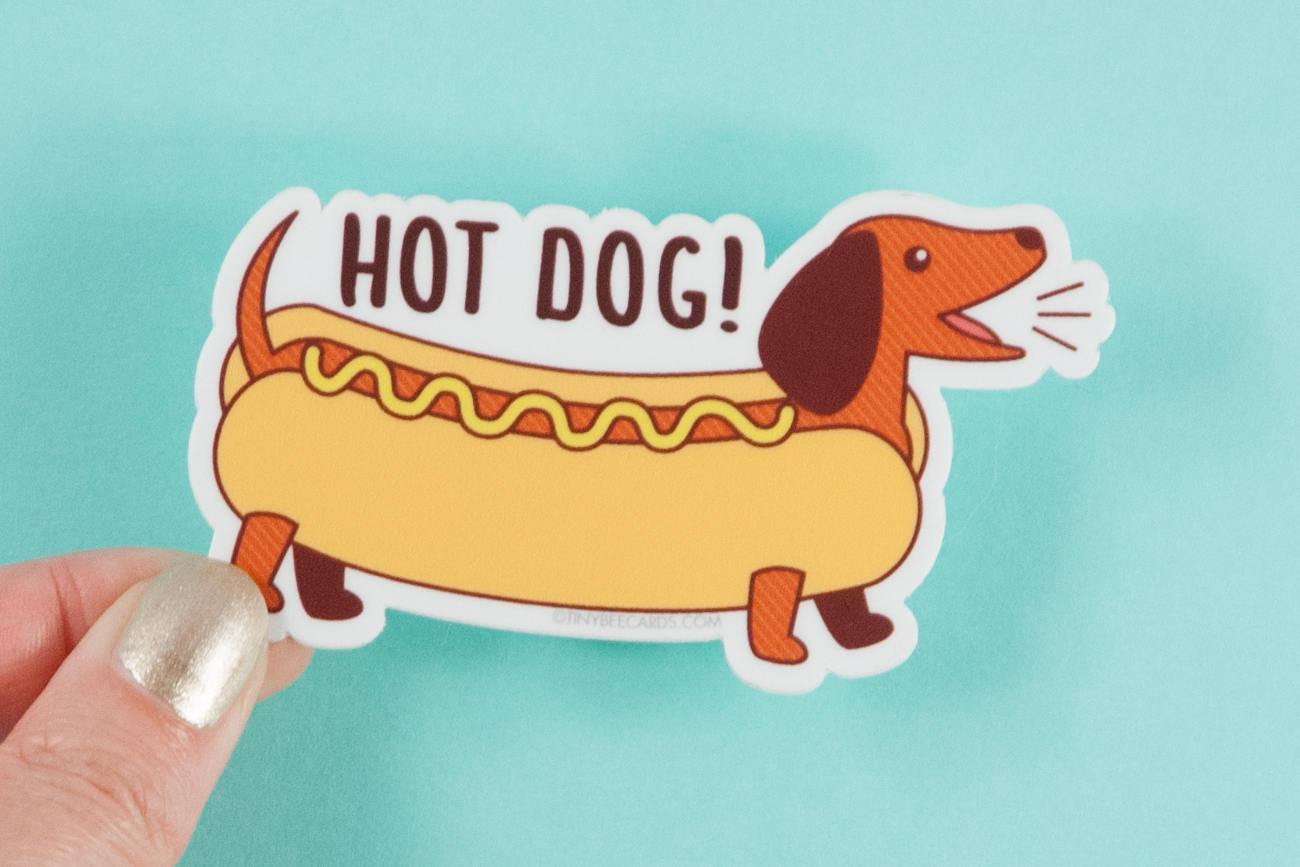 A colorful vinyl sticker featuring a happy dachshund with the pun 'Hot Dog!' perfect for various surfaces.