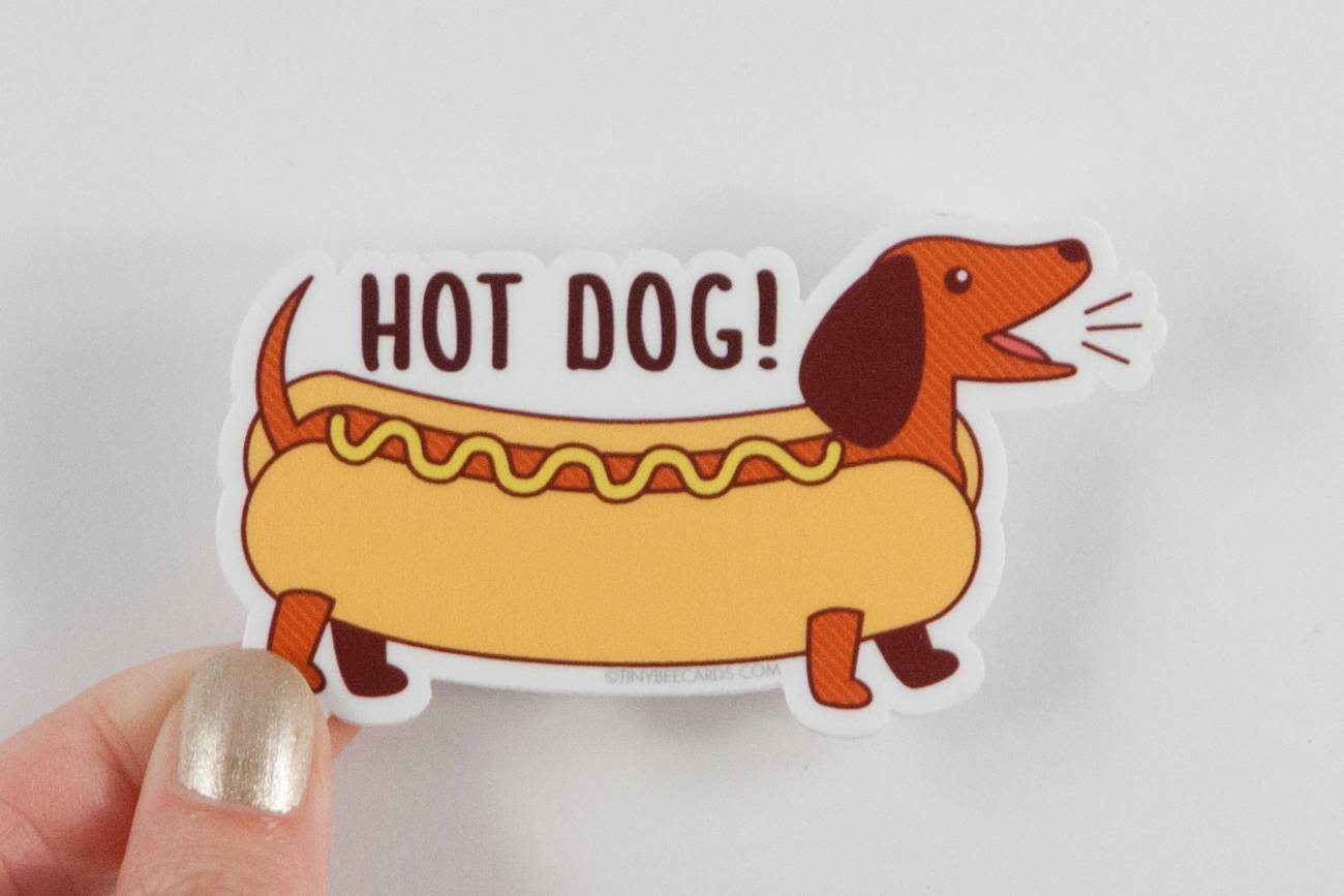 A colorful vinyl sticker featuring a happy dachshund with the pun 'Hot Dog!' perfect for various surfaces.