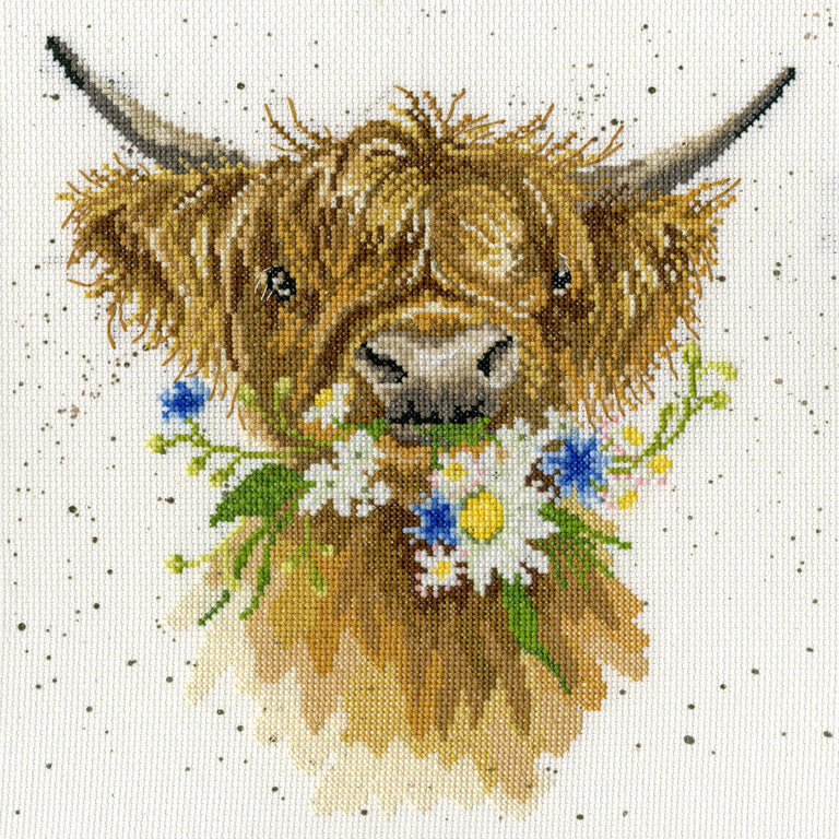 Daisy Coo XHD42 Counted Cross Stitch Kit featuring 14 count Zweigart Aida, vibrant threads, and a stitch diagram.