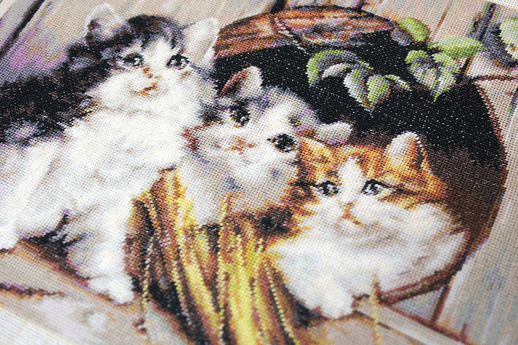 Friendly Shelter B520L Counted Cross-Stitch Kit with colorful threads, canvas, and needle, perfect for crafting enthusiasts.