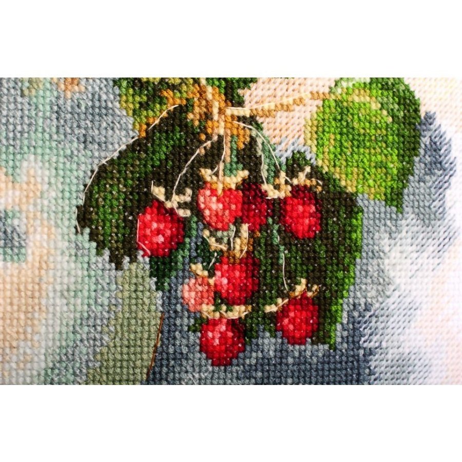 Hydrangea and raspberry counted cross stitch kit with Aida fabric, DMC threads, and needle, showcasing vibrant colors and detailed design.