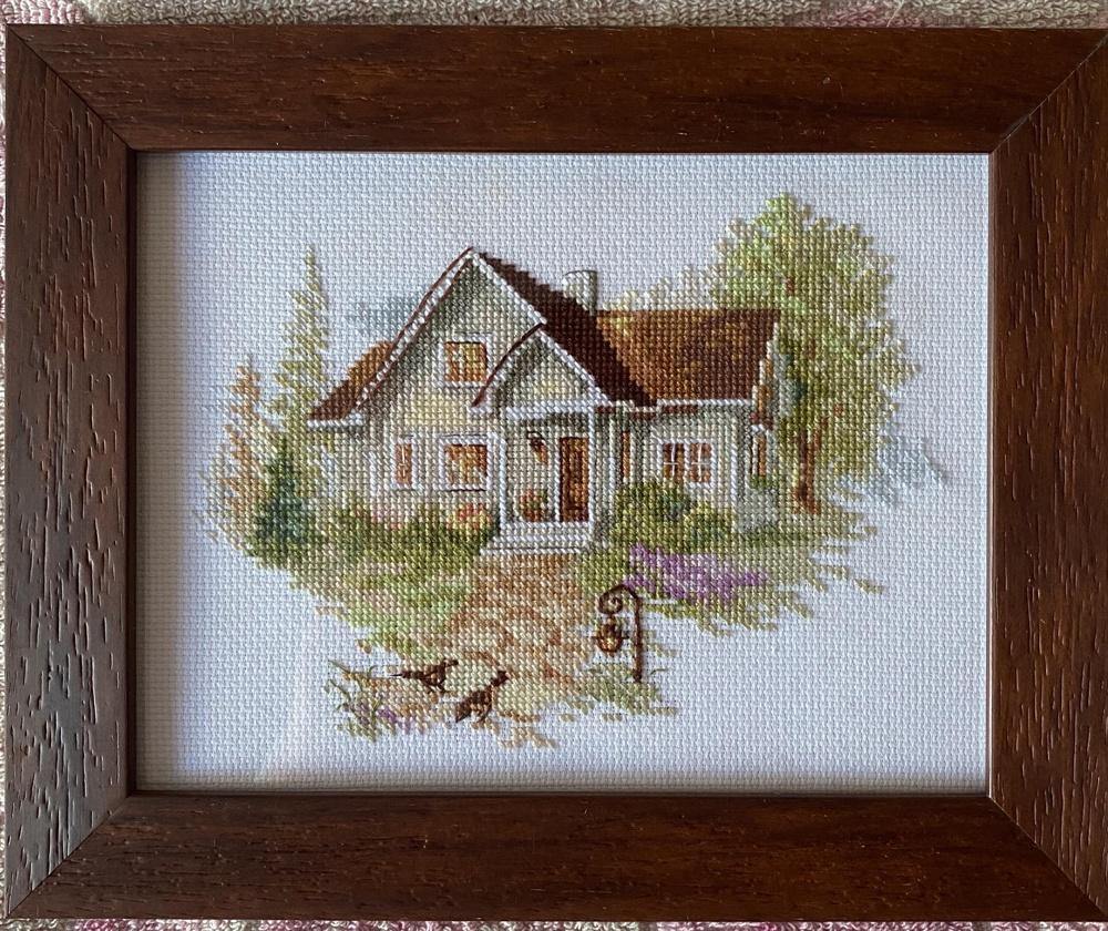 July House 3-20 Counted Cross-Stitch Kit featuring white Aida fabric, colorful threads, and an embroidery needle.