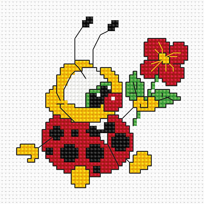 Ladybird B062L Counted Cross-Stitch Kit featuring Aida canvas, Anchor threads, and needle.