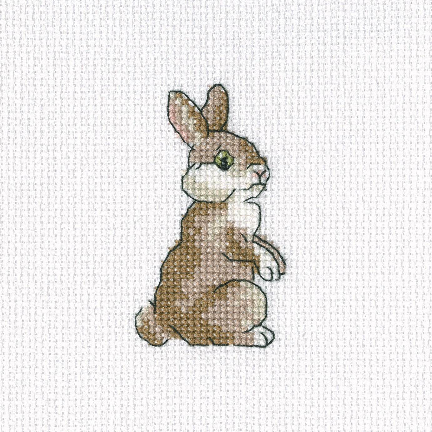 Leveret H264 Counted Cross Stitch Kit featuring white Aida canvas, DMC threads, and included needle and chart.