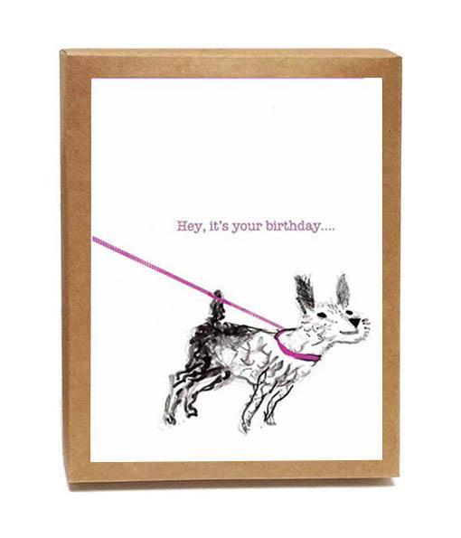 A set of 8 whimsical dog-themed birthday cards by John Littleboy, neatly packaged in a tidy box with matching envelopes.