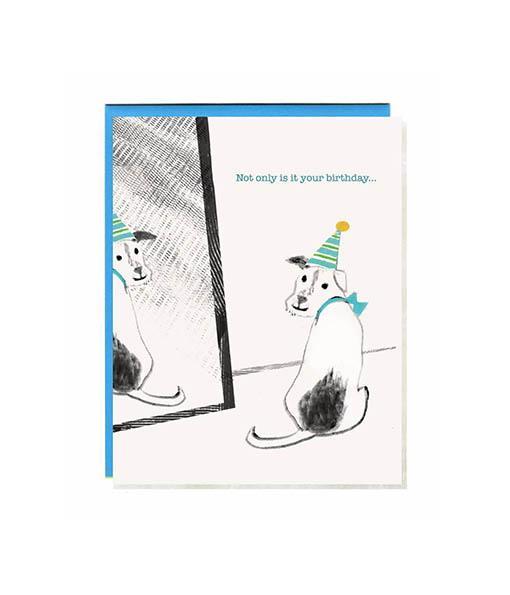 A set of 8 whimsical dog-themed birthday cards by John Littleboy, neatly packaged in a tidy box with matching envelopes.